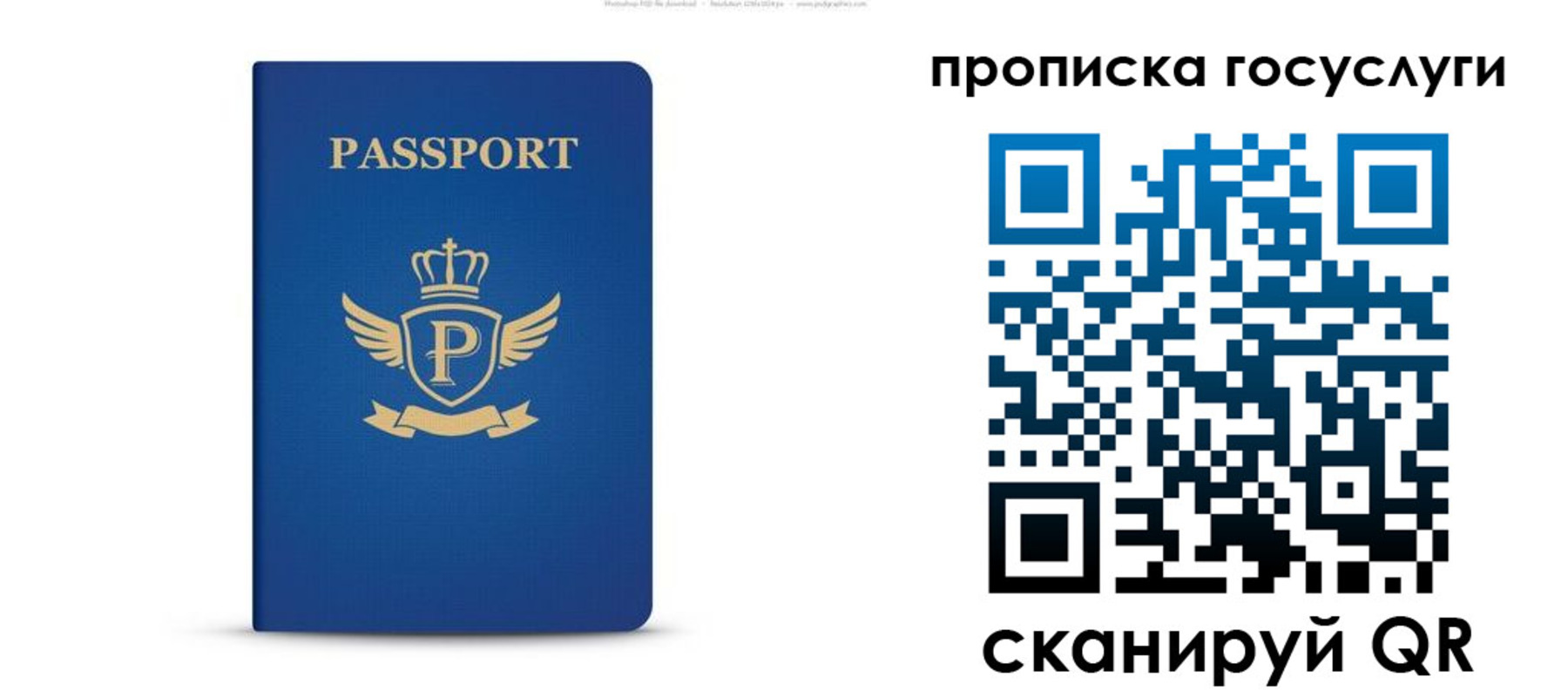 прописка для школы в Петровске